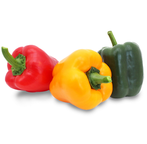poivron